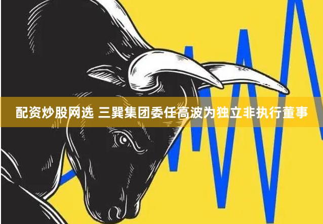 配资炒股网选 三巽集团委任高波为独立非执行董事